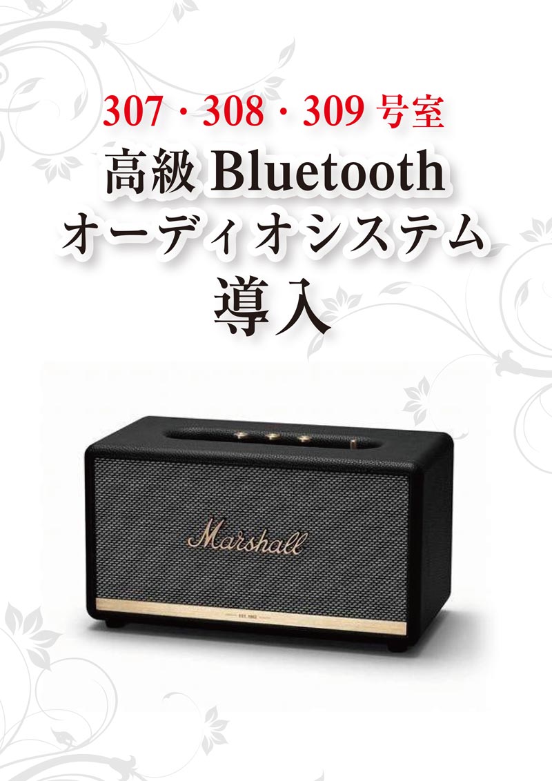 高級Bluetoothオーディオシステム